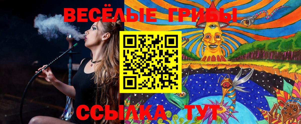 закладка  Галлюциногенные грибы MAGIC MUSHROOMS  Вход с VPN  Калининград  Псилоцибиновые грибы Magic Shrooms 
